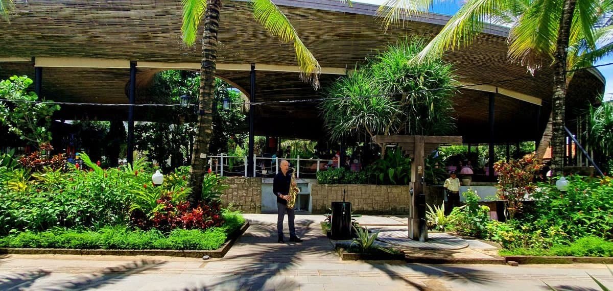 live saxophone performance as bali music entertainment at byrd house bali